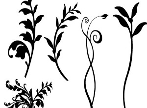 Floral Vector Design | Coolvectors.