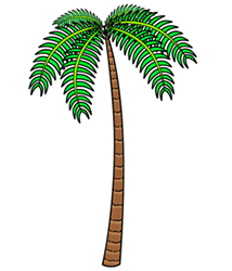 Palm Tree Drawing