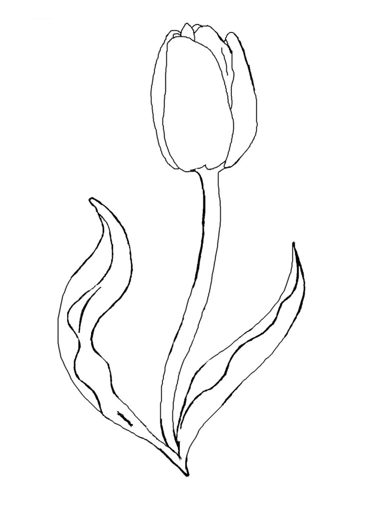 Free Printable Tulip Coloring Page - deColoring