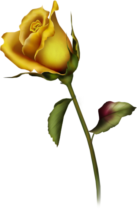 Yellow Rose Bud Art Clipart