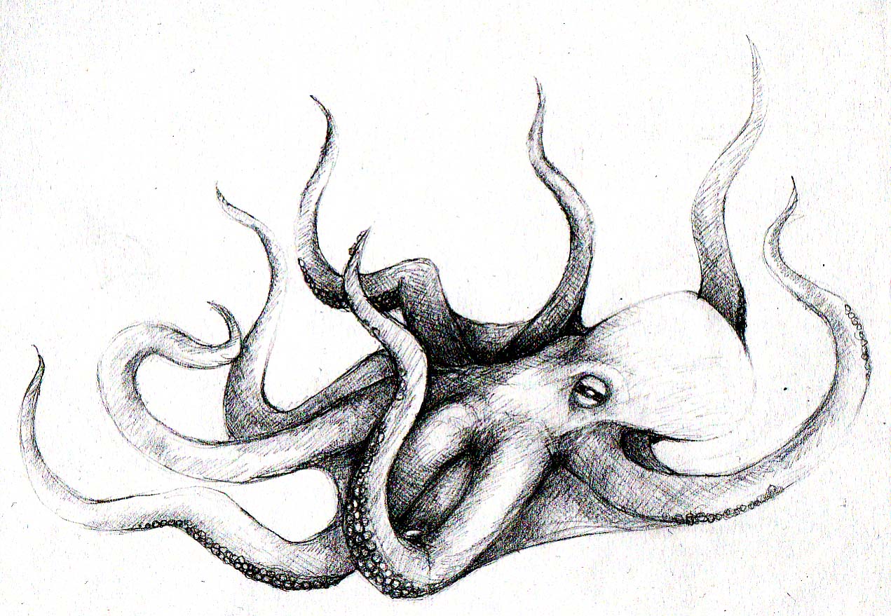 Octopus Art