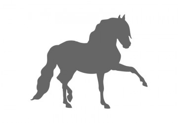 Horse Stencil Shapes - Custom Horse Stencils | Craftcuts.com