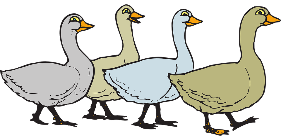 Flock of Geese Clip Art – Clipart Free Download