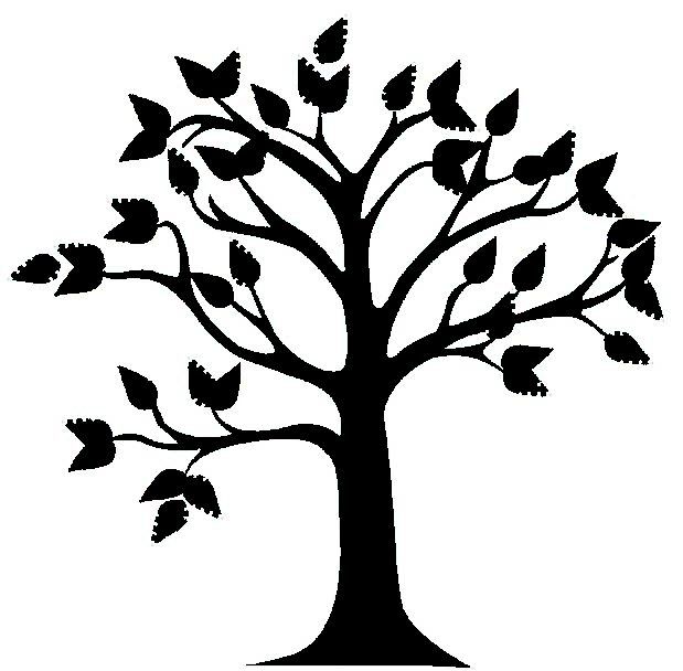 1000+ images about Family tree mural ideas | Trees ...