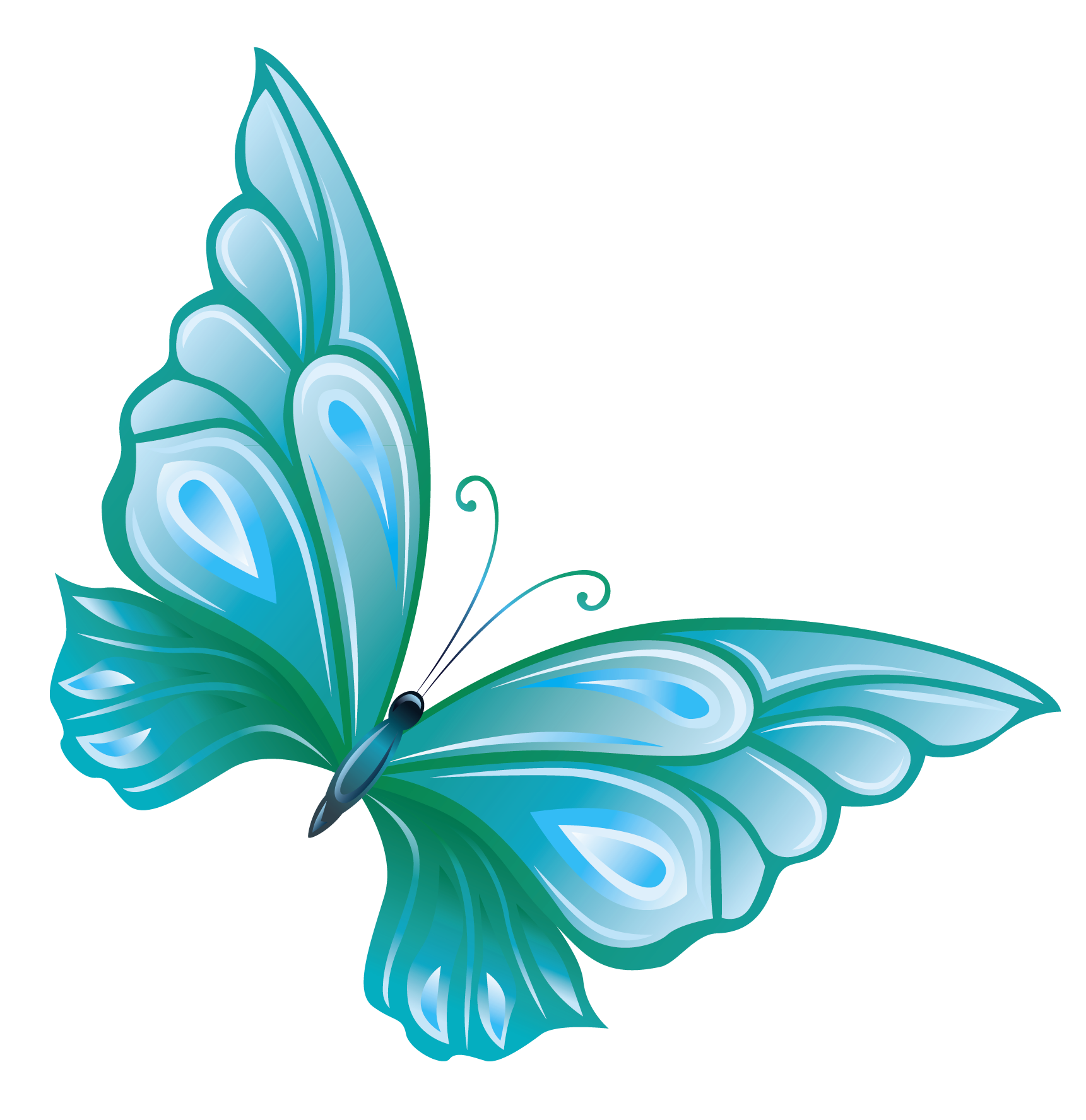 Free teal butterfly clipart