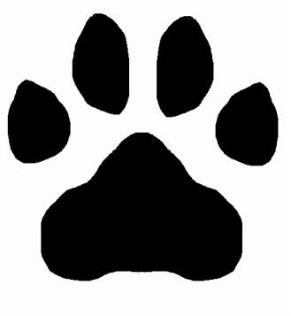 Wolf Footprints - Wolves