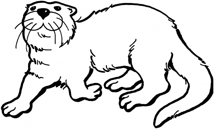 Otters coloring pages | Super Coloring