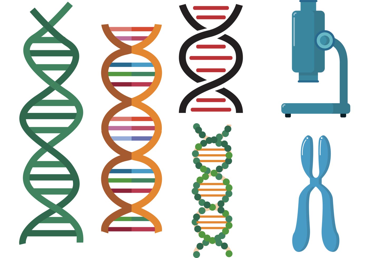 Double Helix Free Vector Art - (331 Free Downloads)