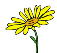Cartoon Daisies - ClipArt Best