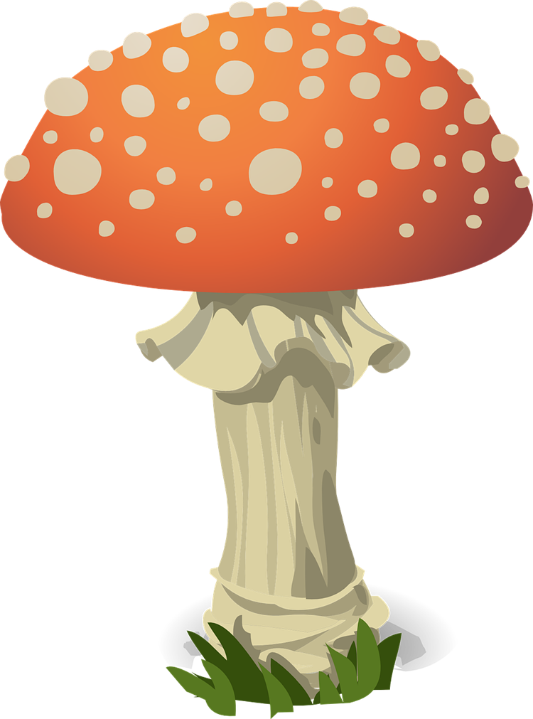Free to Use & Public Domain Mushroom Clip Art