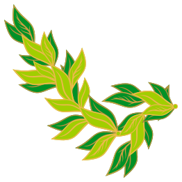 Bay Laurel Leaf Vector - Download 1,000 Vectors (Page 1)