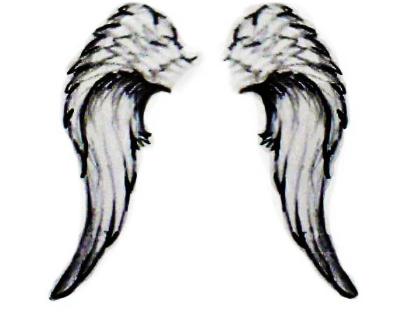 Angel Wings Png | White Angel Wings ...