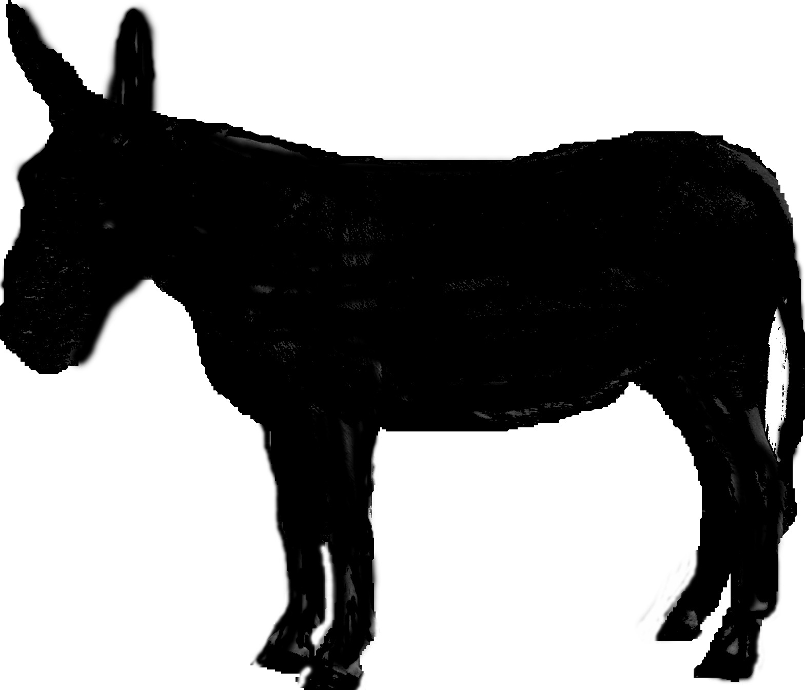 Donkey Heads - ClipArt Best