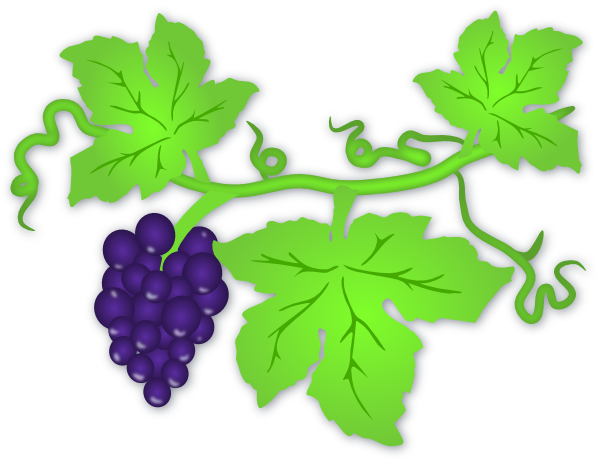 Grape Vine clip art - vector clip art online, royalty free ...