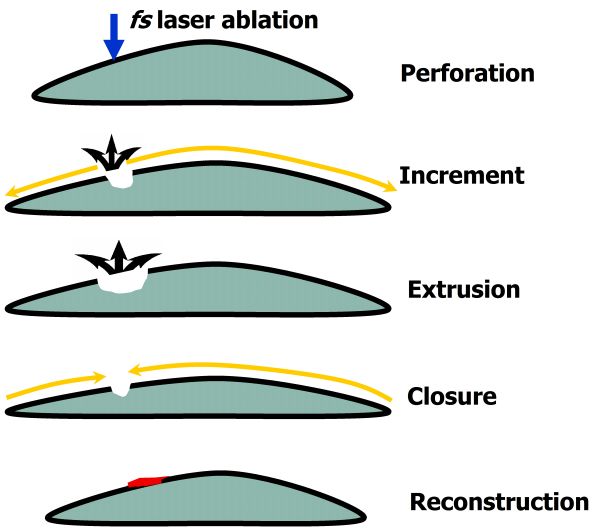 Application of Ultrafast Laser Optoperforation for Plant Pollen ...