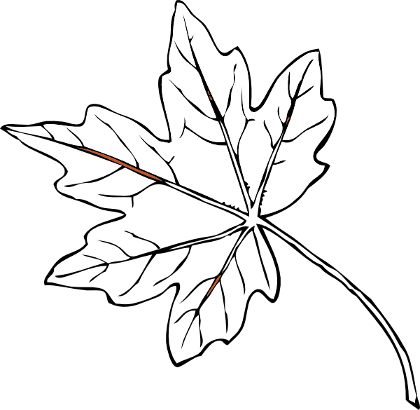 Line Drawing Leaf
