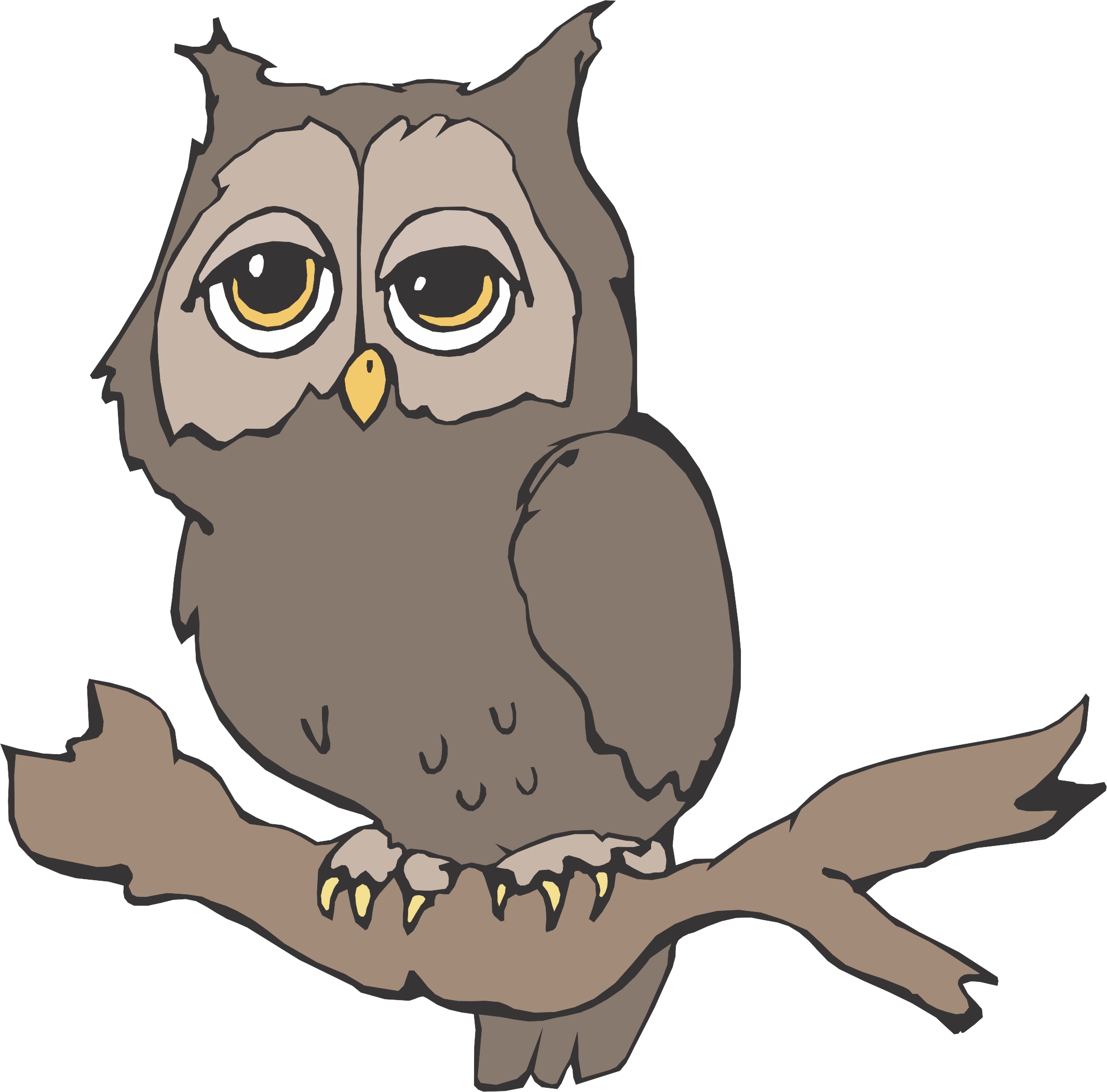 Cartoon Owl | Page 2