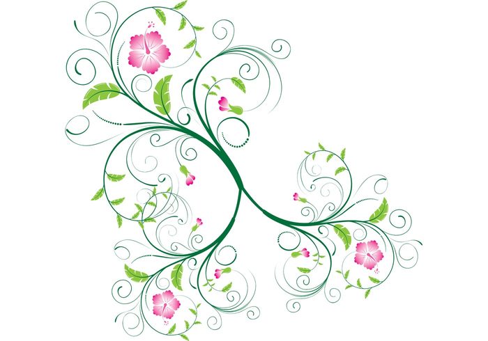 Vector Swirls and Floral Swirls