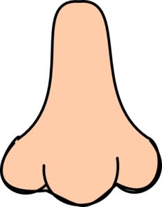 Nose cartoon clipart