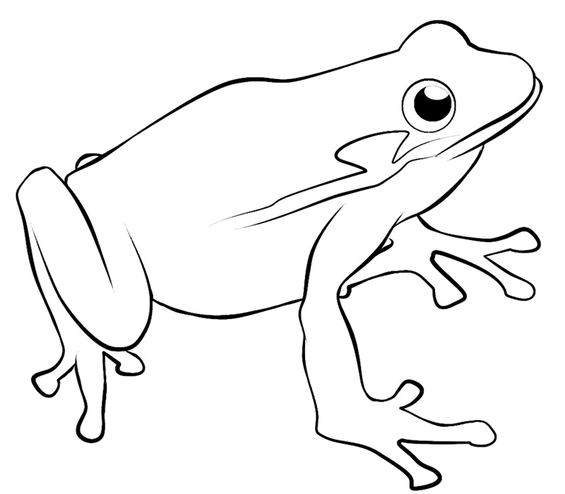 Tree Frog Outline - Free Clipart Images
