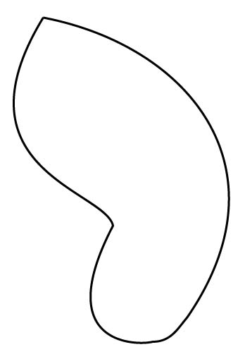 Butterfly Wing Outline