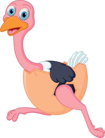 Running Ostrich Clip Art, Vector Images &amp; Illustrations