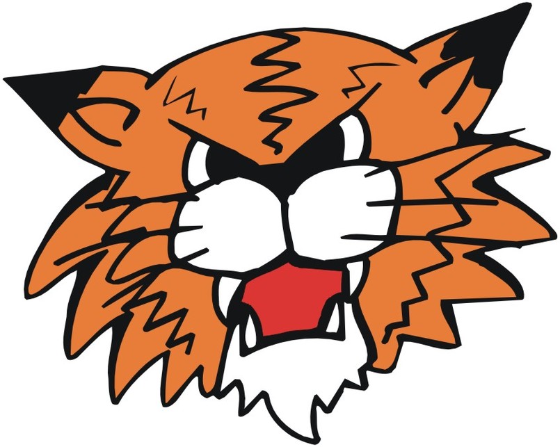 Cartoon Cat Head Clipart - Free to use Clip Art Resource
