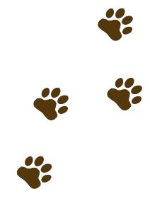PET-