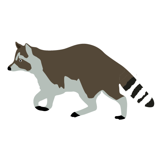 Raccoon opening clip art at vector clip art - Clipartix