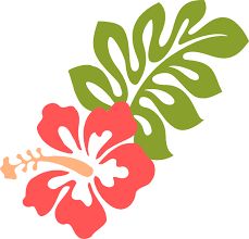 Hawaiian Hibiscus Clipart - Digital Clip Art Graphics for Personal ...