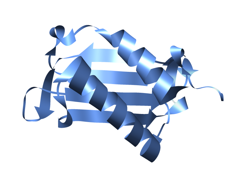 Macrophage Migration Inhibitory Factor (MIF) | MAP