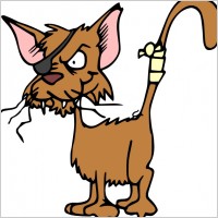 Cat eye vector Free vector for free download (about 4 files).