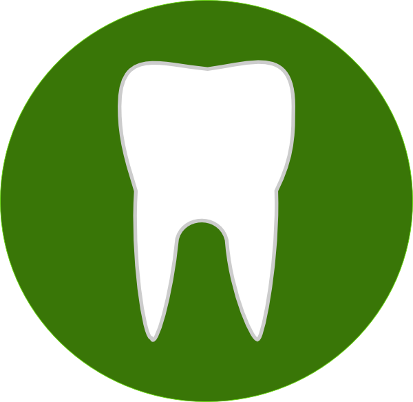 Tooth clip art - vector clip art online, royalty free & public domain