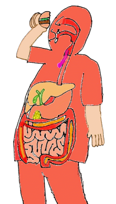 Digestive Gif - Quoteko.