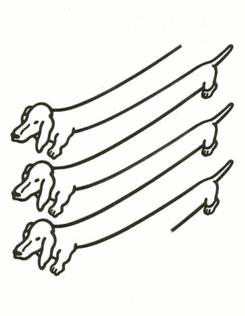 How Many Dogs Are There? | Mighty Optical Illusions