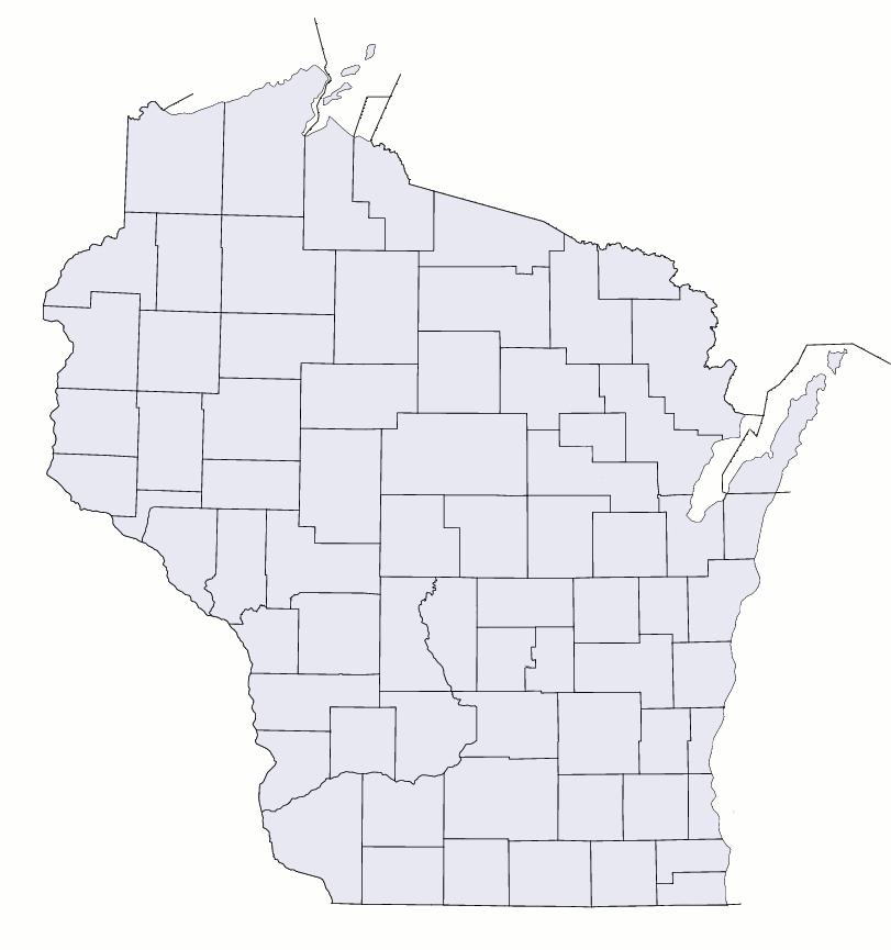 blank wisconsin