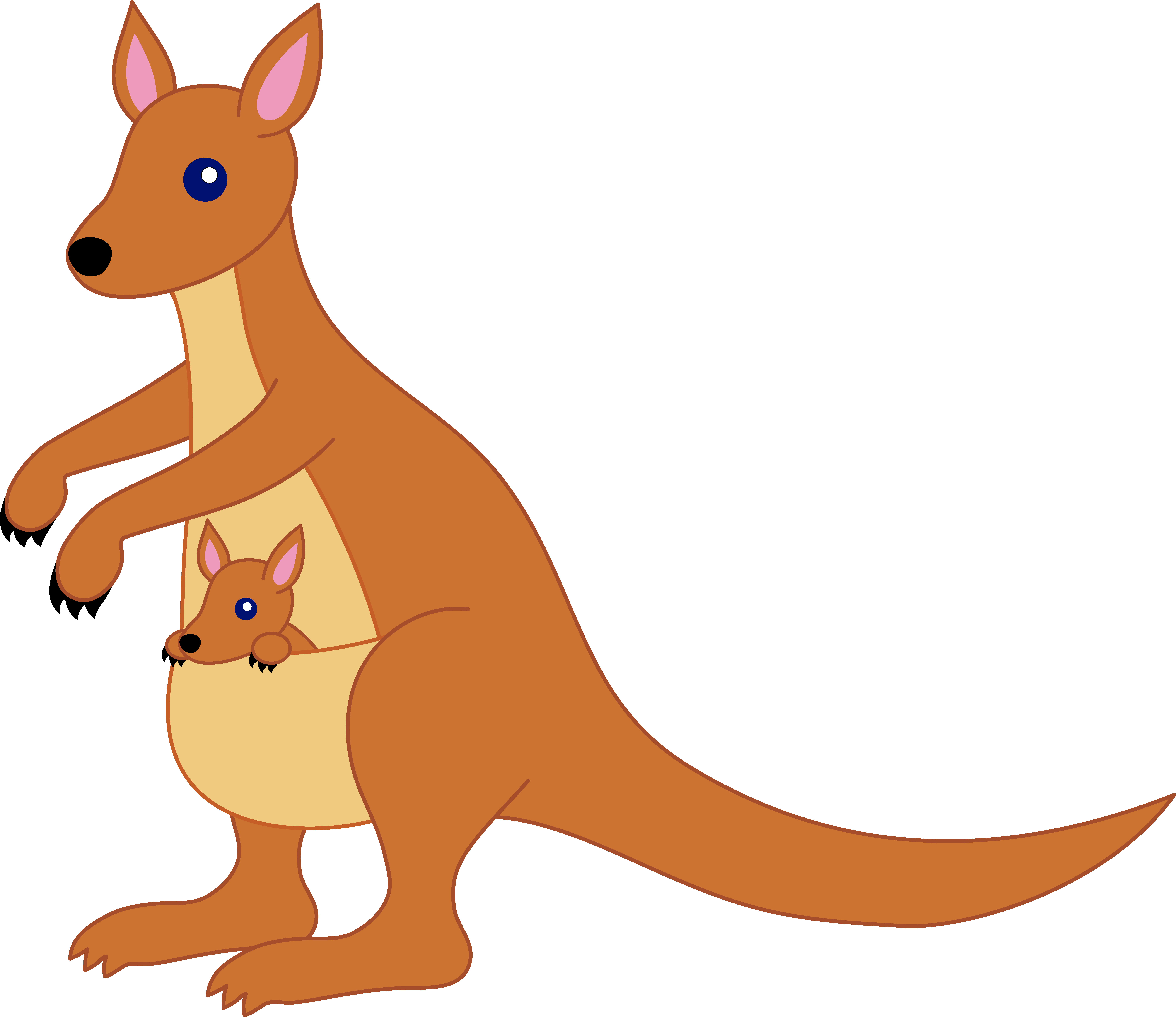 Kangaroo Cartoon Pictures