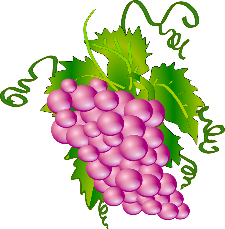 Grapevine Clipart | Free Download Clip Art | Free Clip Art | on ...