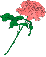 Carnation Clipart | Free Download Clip Art | Free Clip Art | on ...