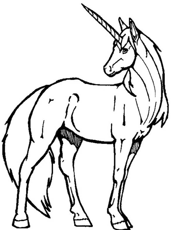 Cute Unicorn Drawing - Free Clipart Images