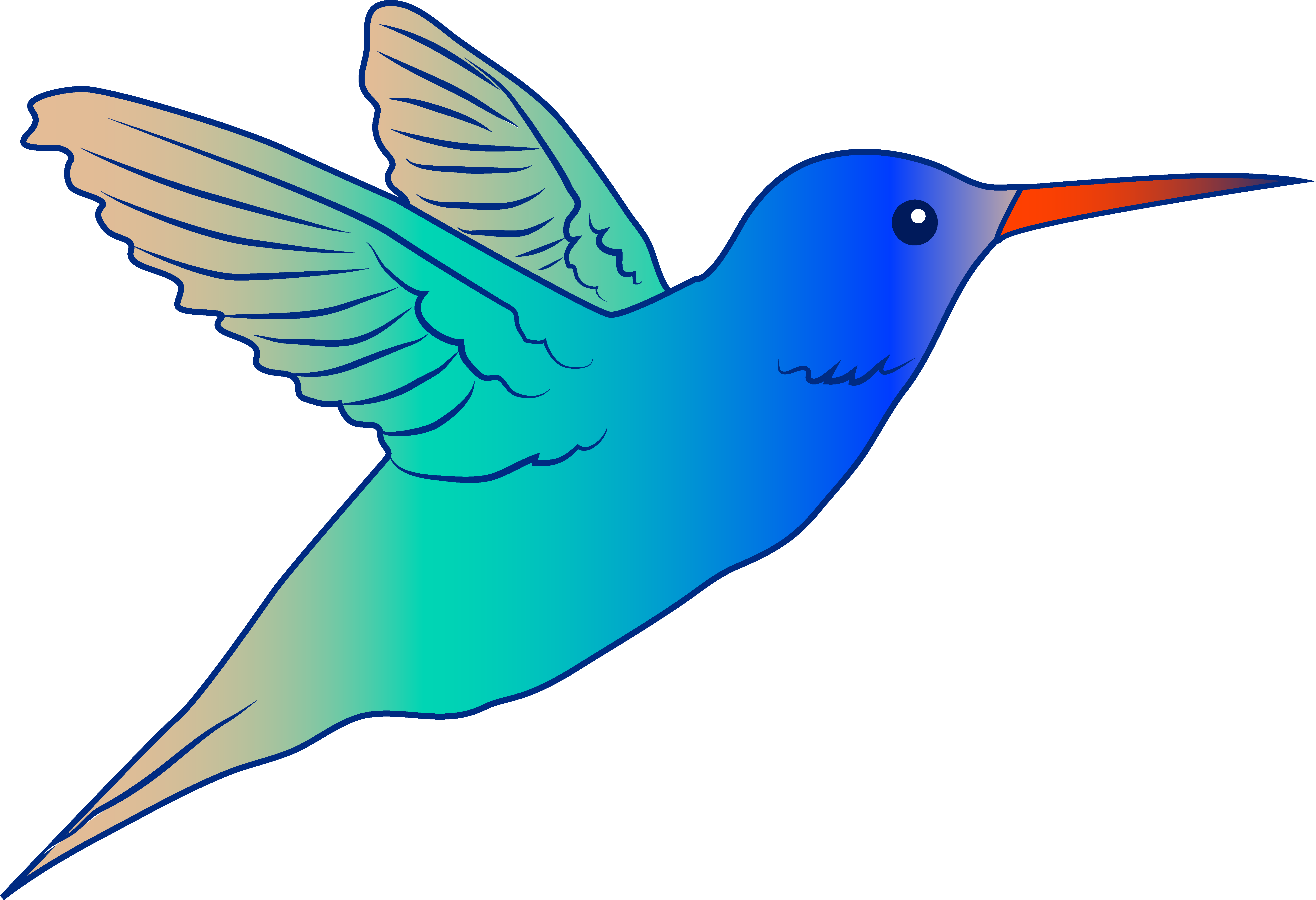 Hummingbird Clipart Free