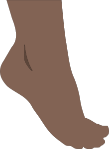 Foot Clipart, vector clip art online, royalty free design ...
