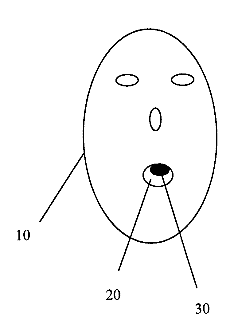 Patent US20100286468 - Transcranial magnetic stimulation with ...