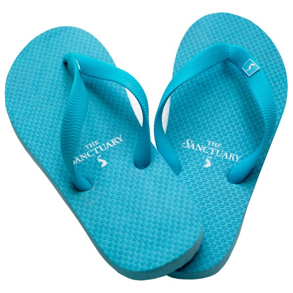 Schaffstall Chiropractic, LLC - Blog - Flip-Flop Fallacy