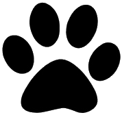 Paw Print TRansparent