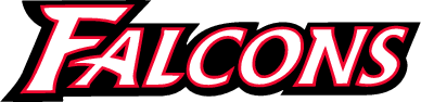 atlanta-falcons_t.png