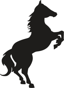 Our Horses | Hopeland