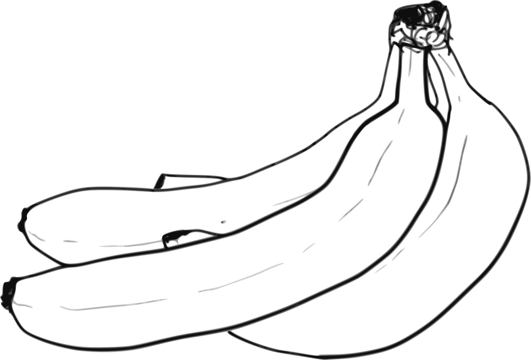 Clipart - Banana Bunch Line Art