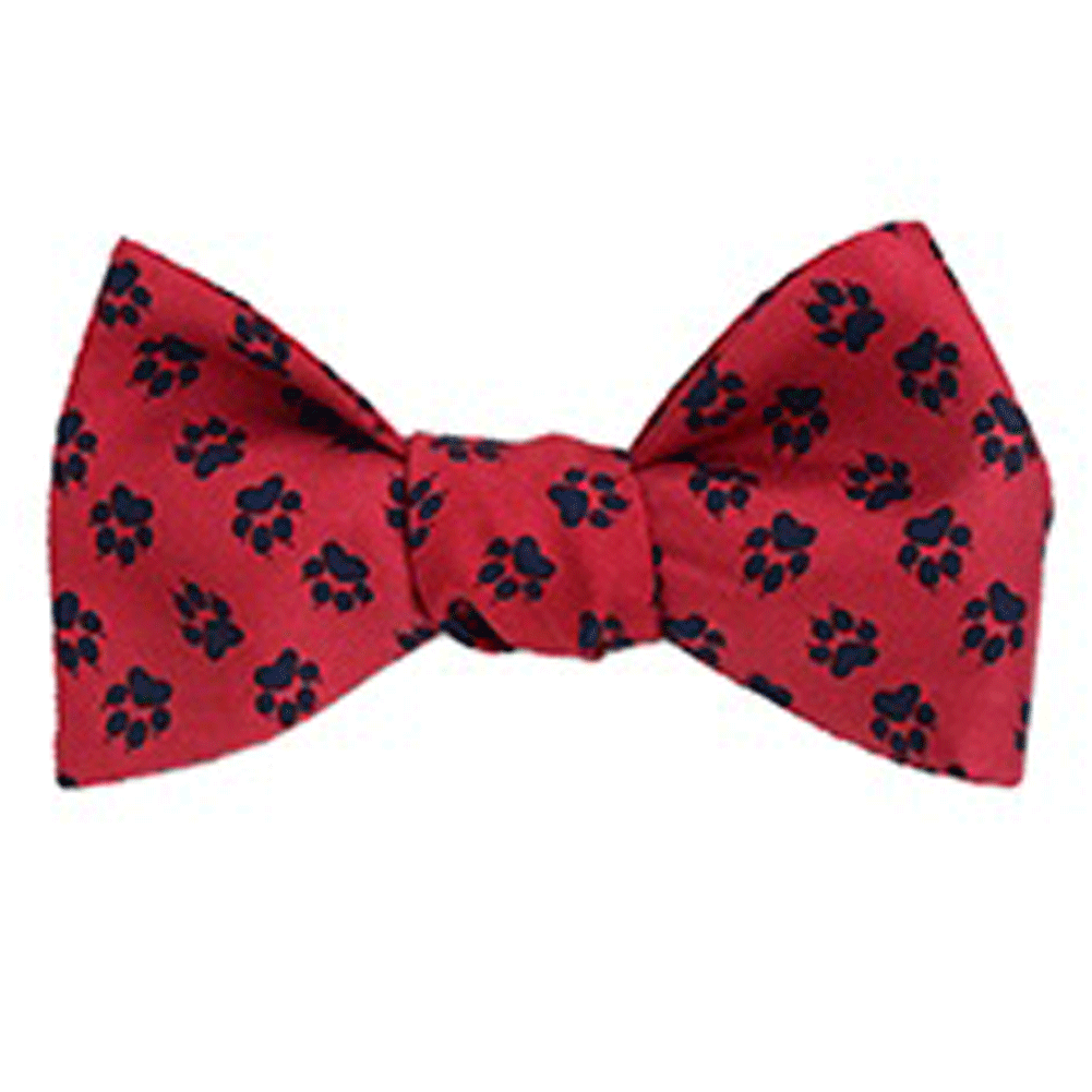 Novelty Bow Ties