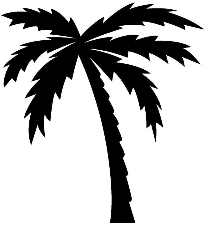 Palm Tree Black And White Clipart